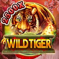 Wild Tiger